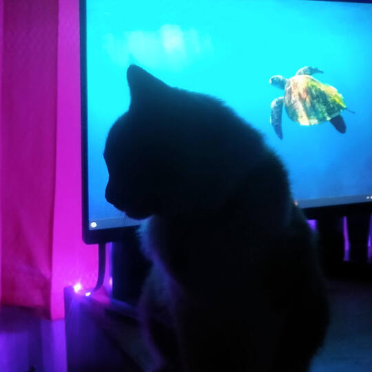 Ramadhani AM Ramadhani AM